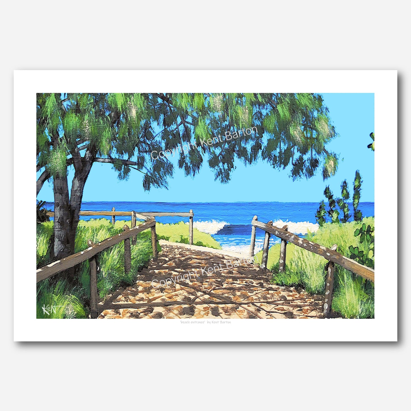 " Sandy track to the beach under the shade of a casuarina tree."