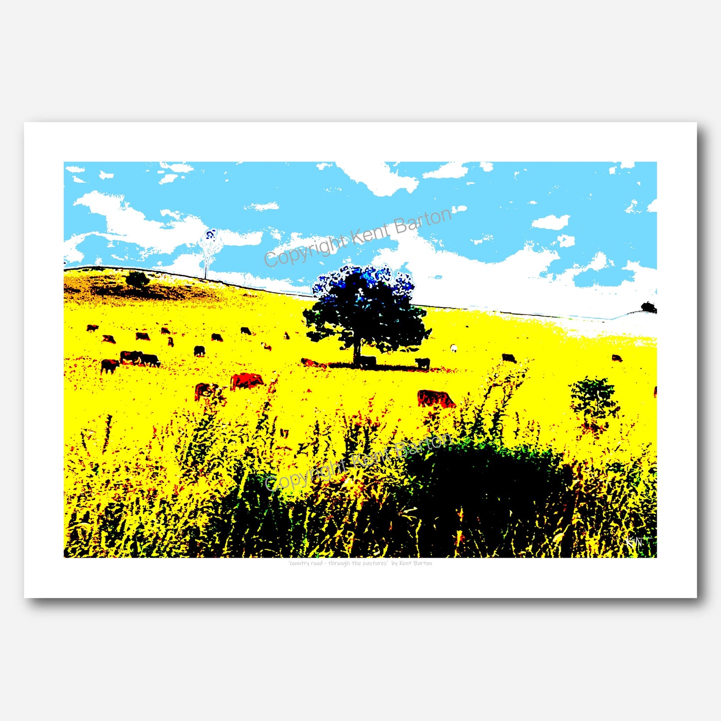 Country Road - through the pastures