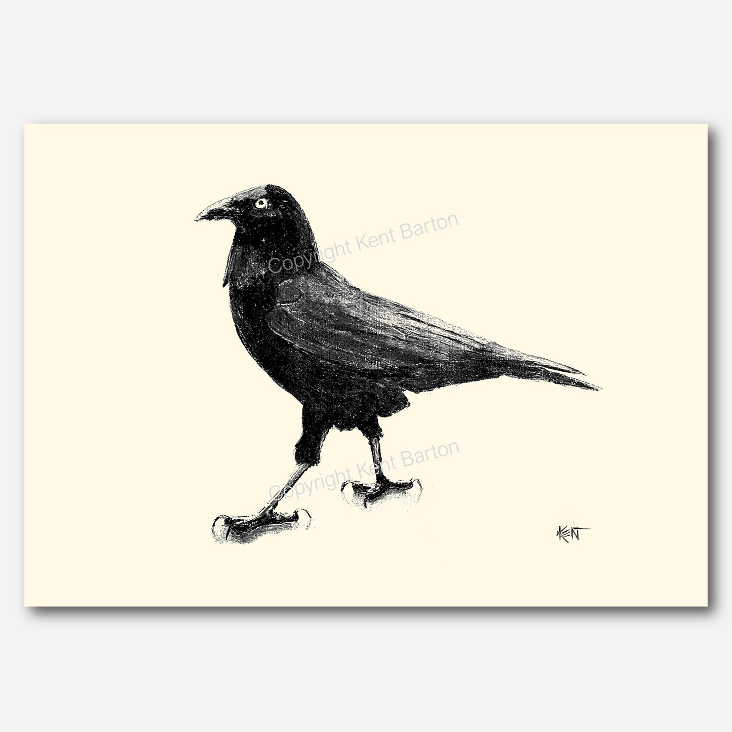 Crow Drawing