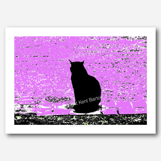 'A sitting black cat surrounded by purple."