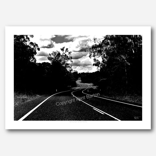 "A country road winding through the trees in black and white"