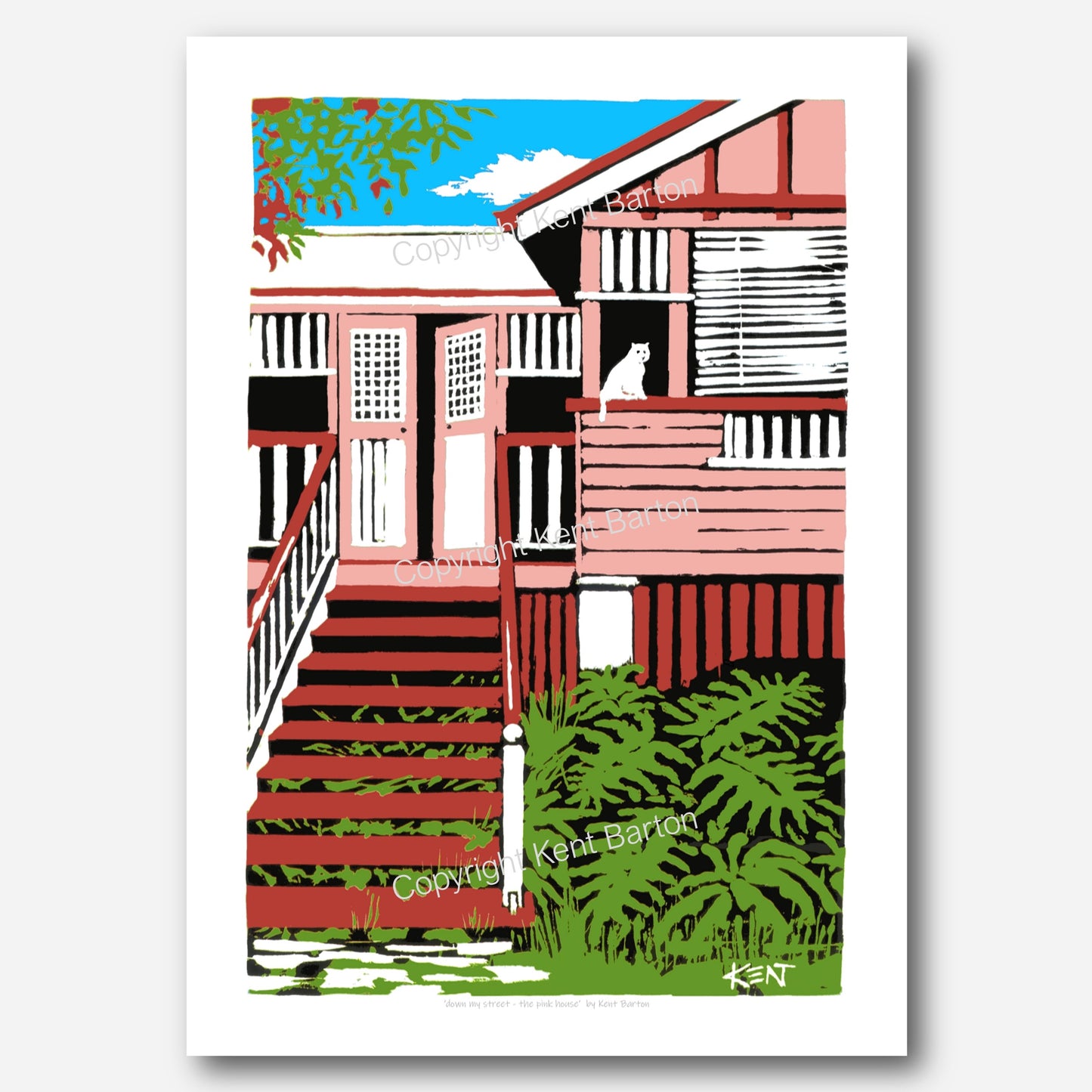 "Highset Queensland timber house painted peachblow pink with white cat."