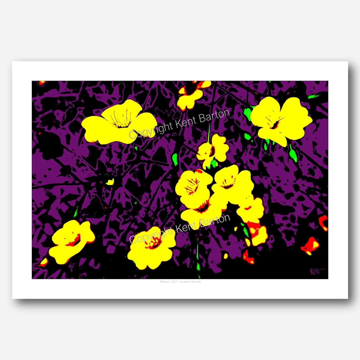 "Yellow flowers on purple background."