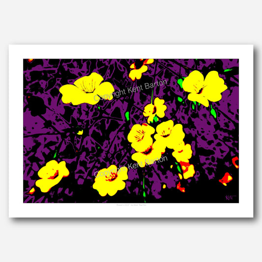 "Yellow flowers on purple background."