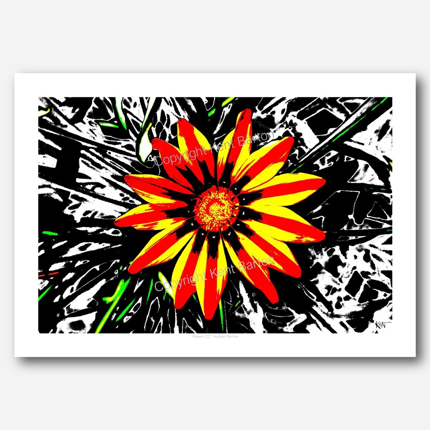 "Red yellow and black flower."