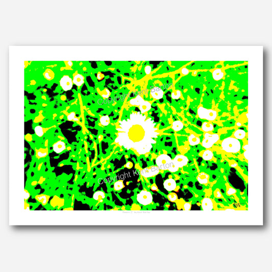 "Abstract design of white flowers with bright colours."