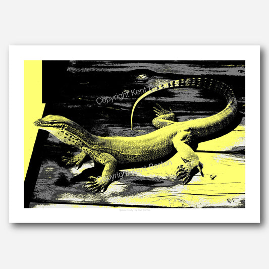 "A tree goanna on a deck looking through a doorway."