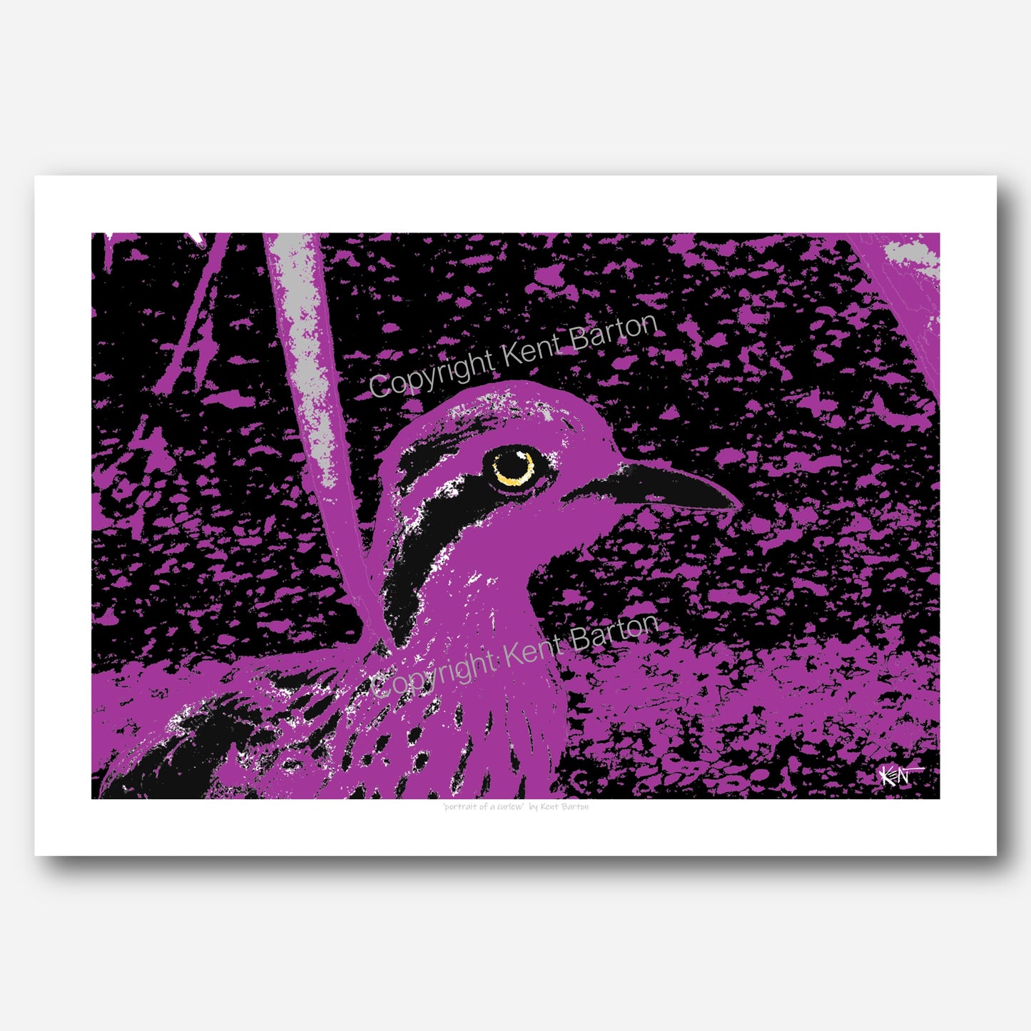 Portrait of a curlew