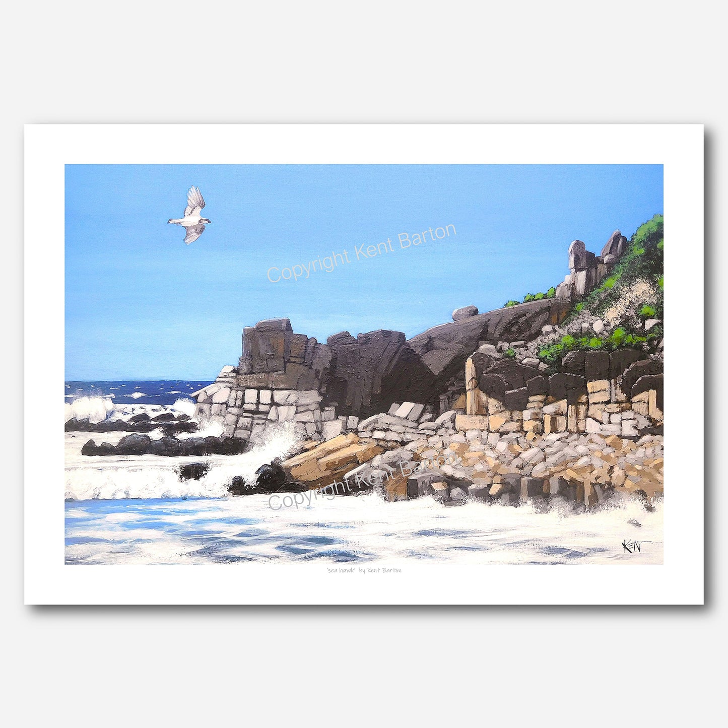 "Osprey hawk flying over rocky point and ocean,"