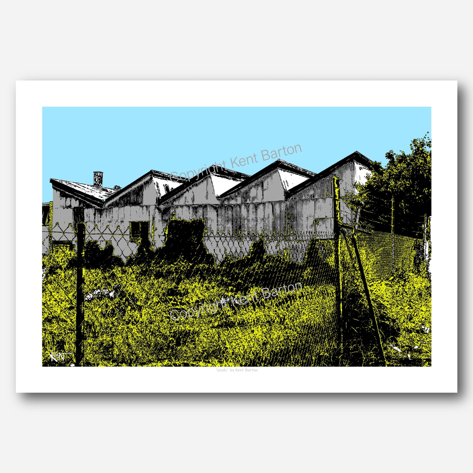 "Old galvanised iron work sheds with overgrown fenced allotment n the foreground."