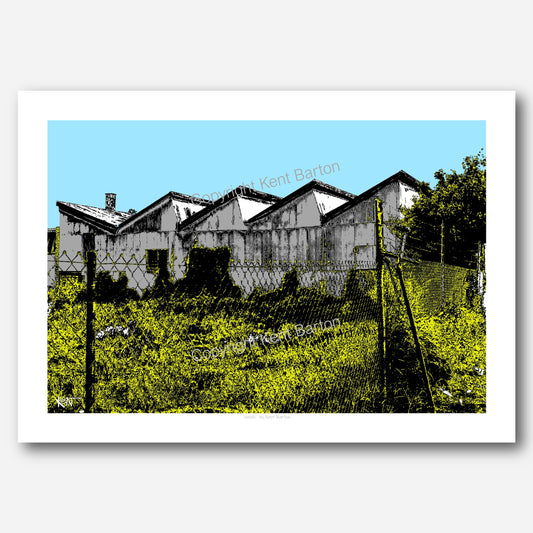 "Old galvanised iron work sheds with overgrown fenced allotment n the foreground."