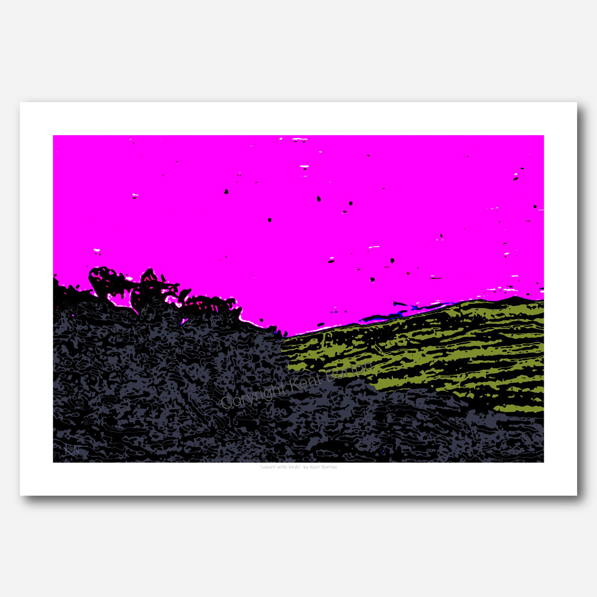 Sunset with birds