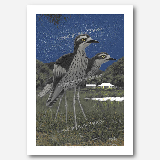 "two bush stone curlews standing across the field from a country house at night time."