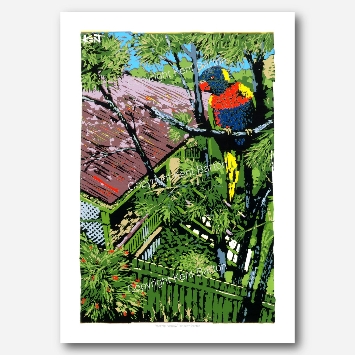 "Bird's eye view of rainbow lorikeet on a high branch with view over the house below."