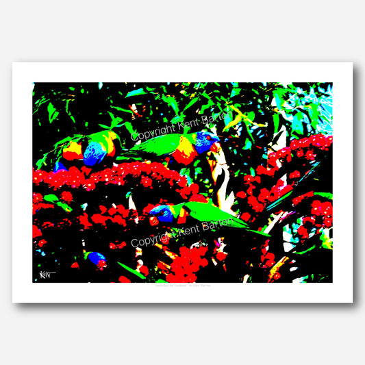 "Rainbow lorikeets feasting on umbrella tree seeds."