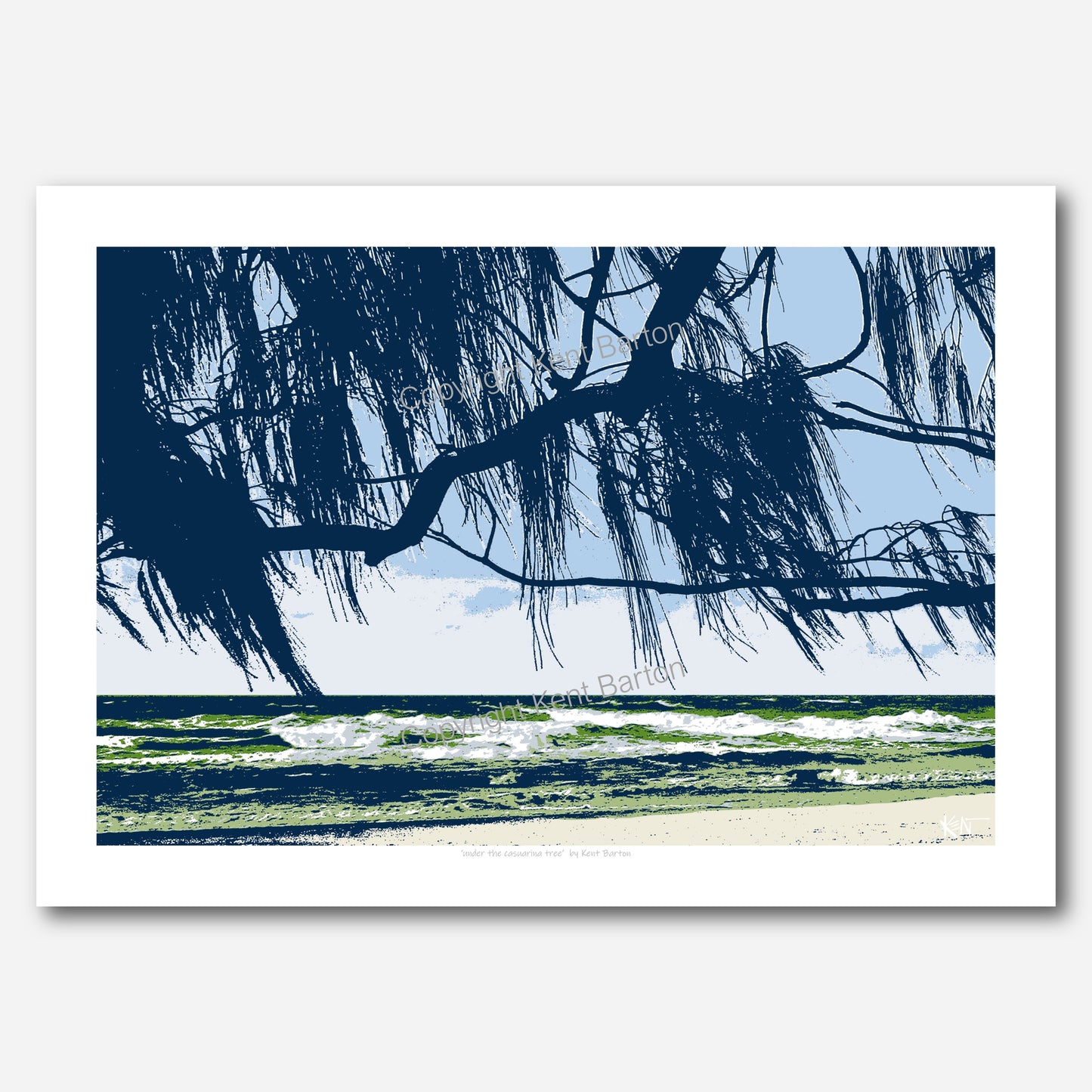 Under the casuarina tree