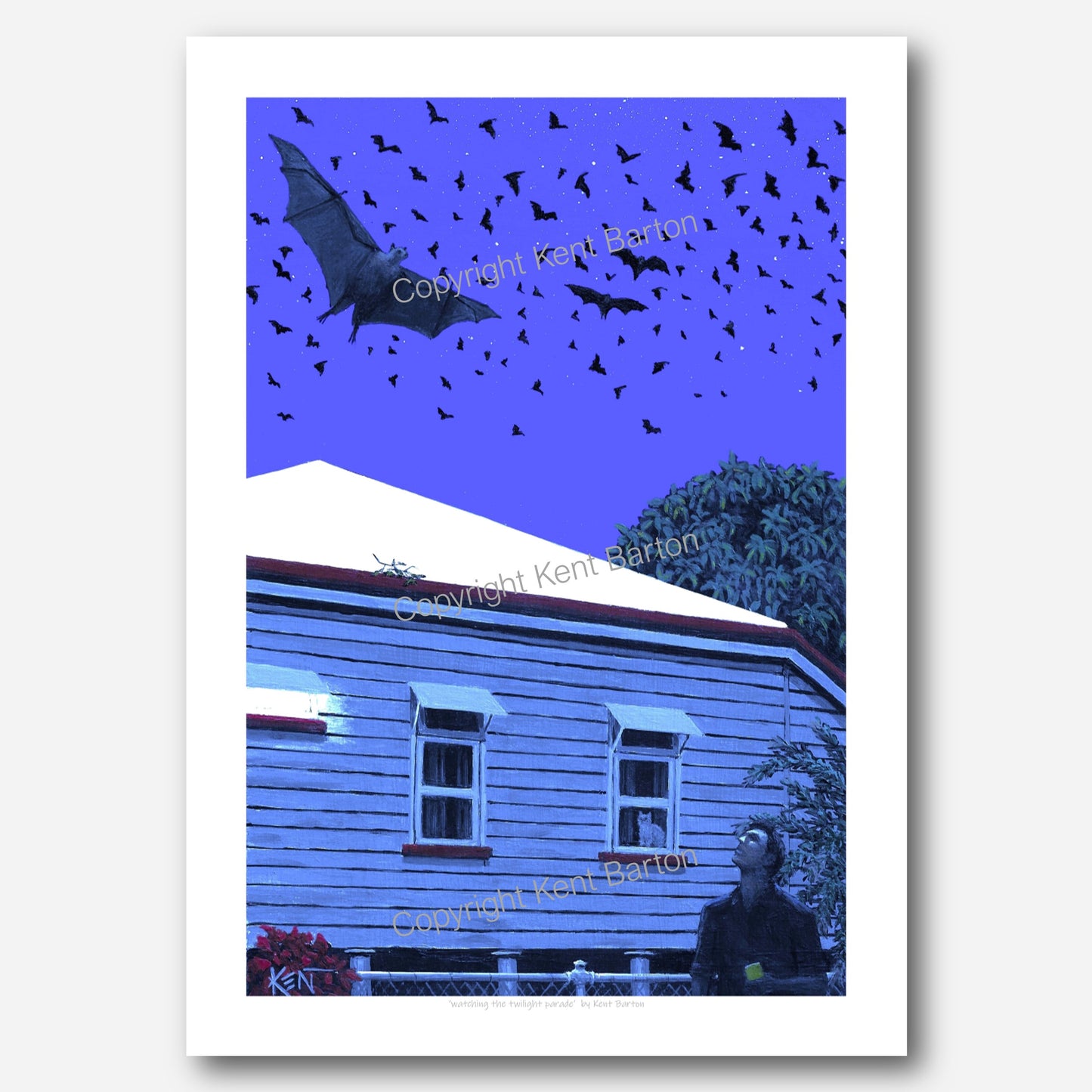 "A man and cat watch one of the flying fox colony fly close overhead, while the colony flies by."