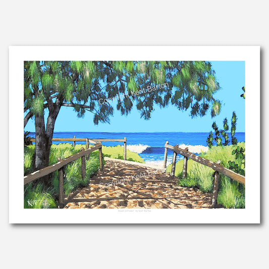 " Sandy track to the beach under the shade of a casuarina tree."