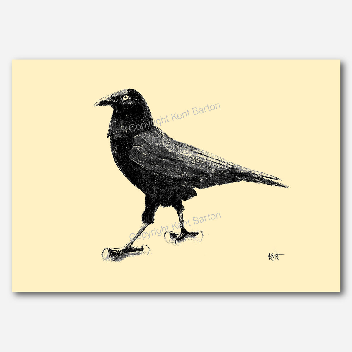 Crow Drawing