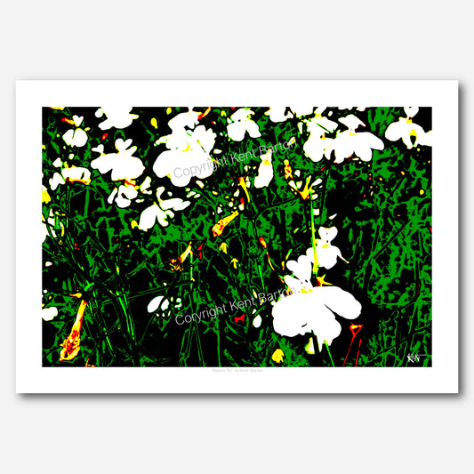 Flowers IV