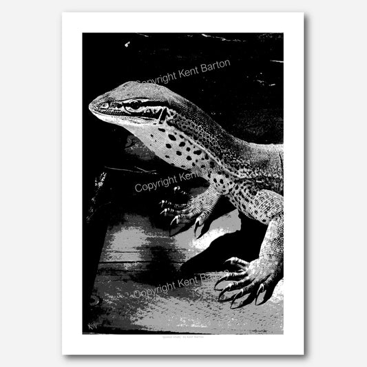 Goanna Study