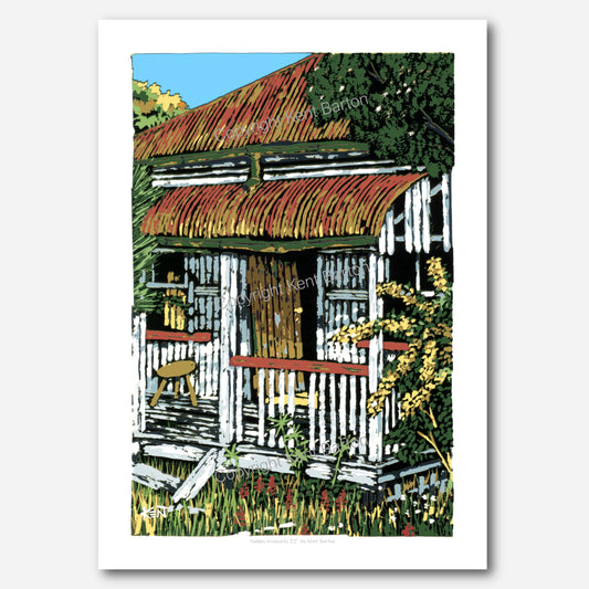 "Front veranda of decaying timber cottage."