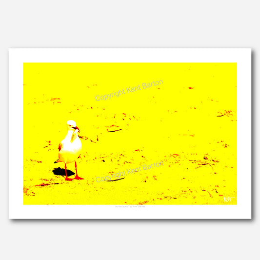 "Seagull standing on a beach with a small fish in it's bill."