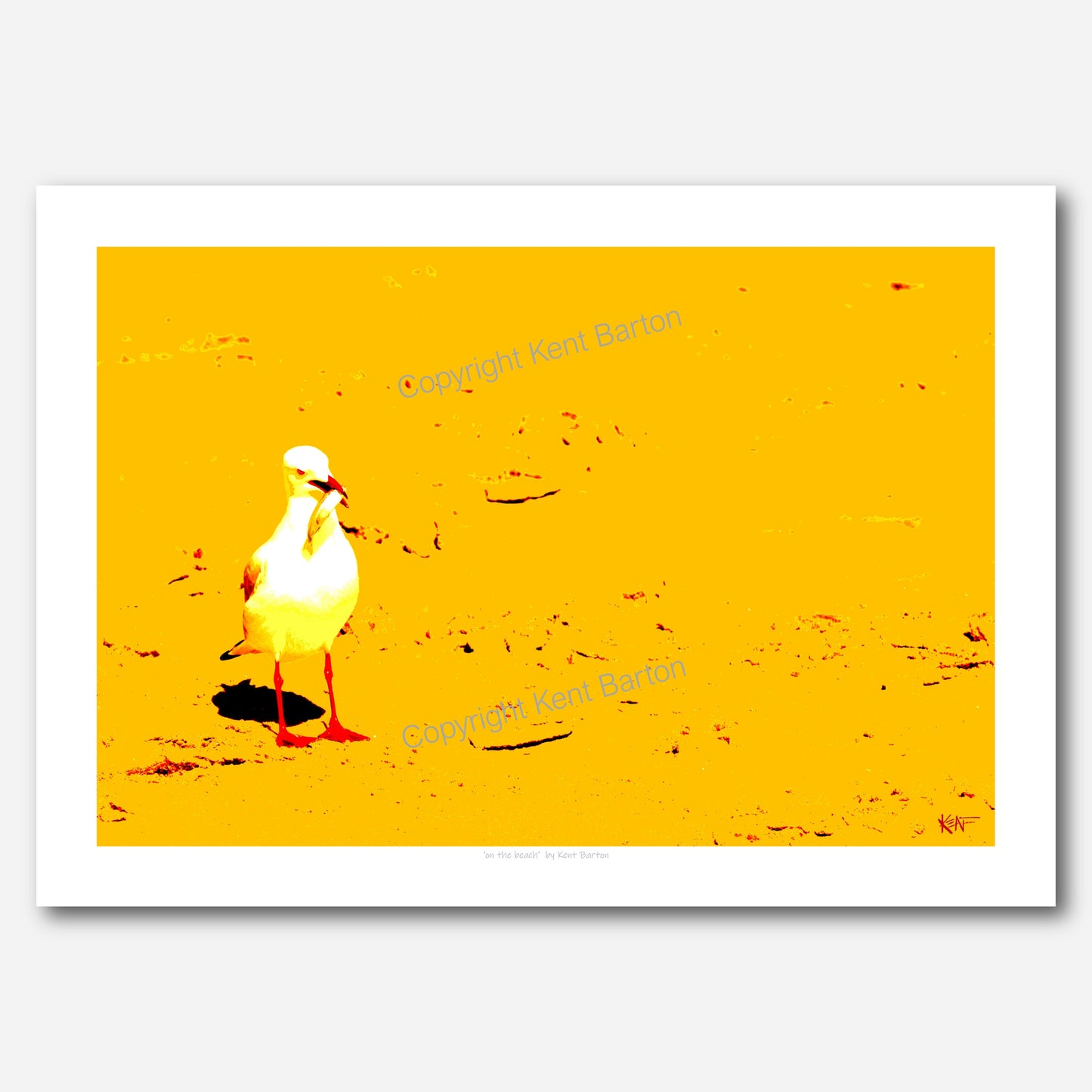 On the beach