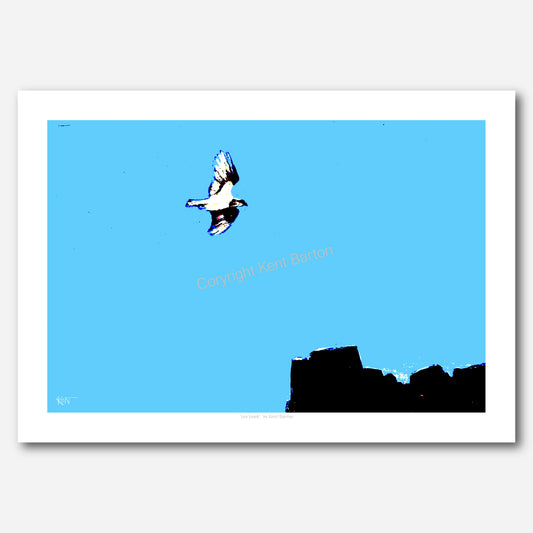 Sea Hawk