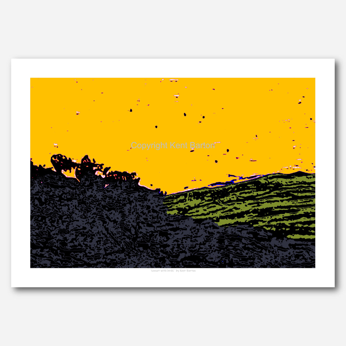 Sunset with birds