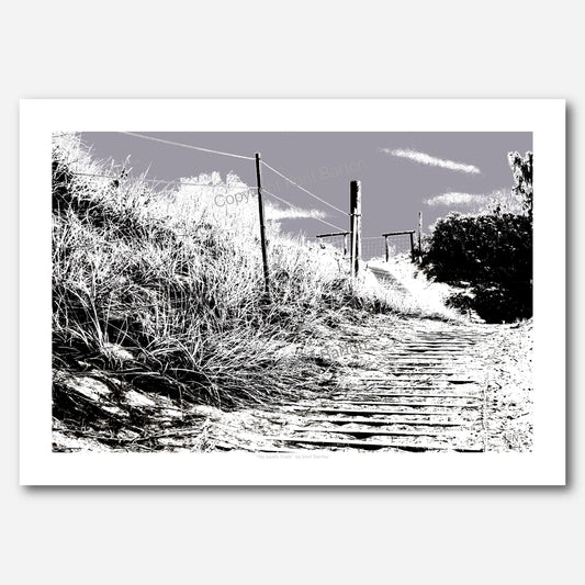 The beach track