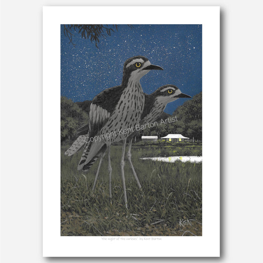 The night of the curlews
