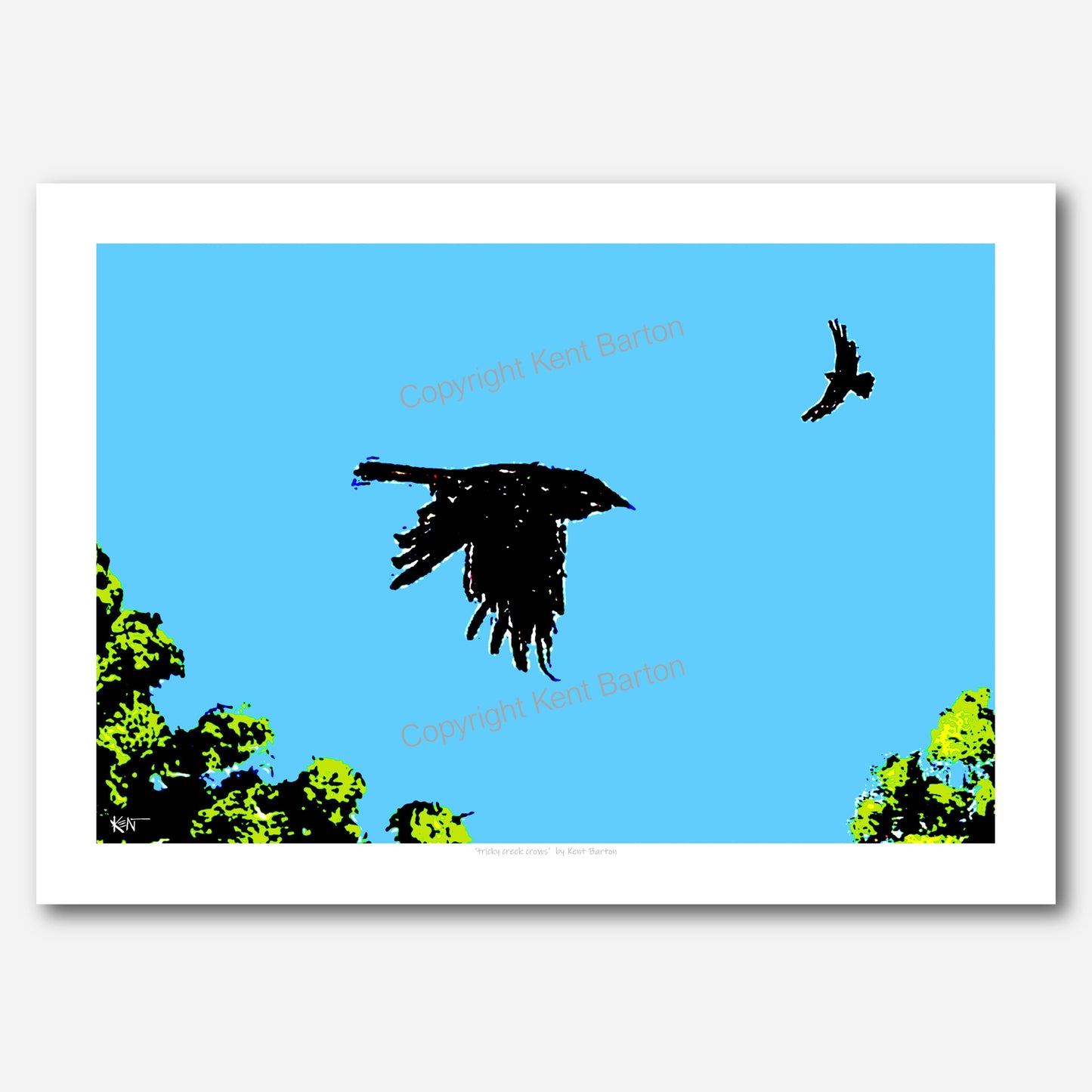 Tricky creek crows
